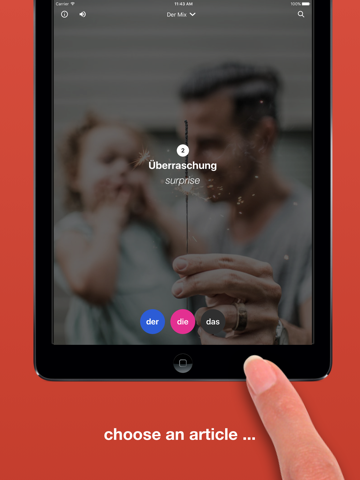 Der Die Das: German Articles screenshot 2