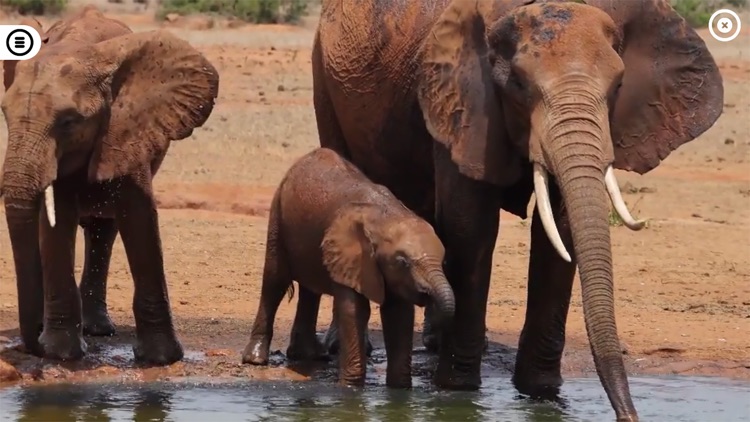 Living Planet screenshot-6