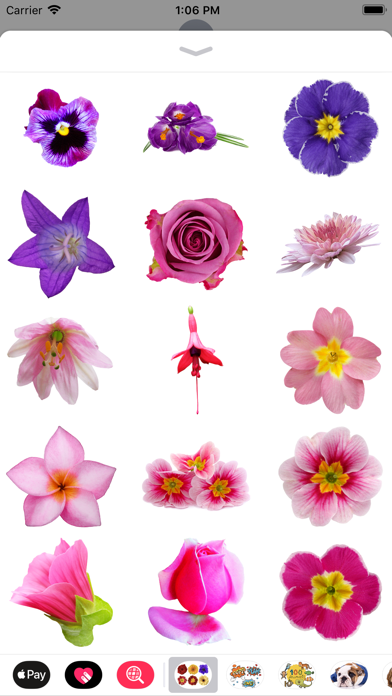 100+ Flower Stickers Screenshot