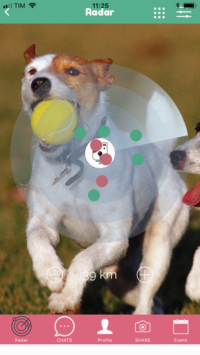 Screenshot #1 pour DogApp