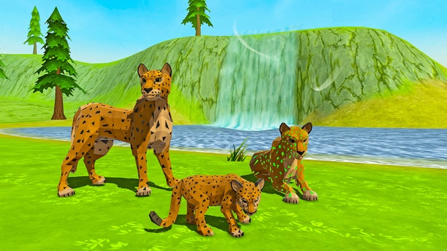 Wild Leopard Safari - Online