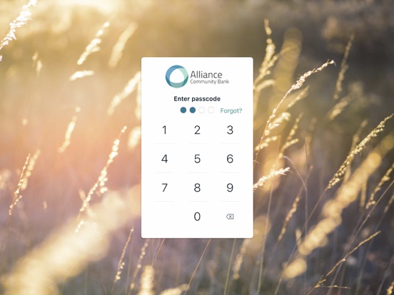 Alliance Community Bank App iPad screenshot 3 - Finance app