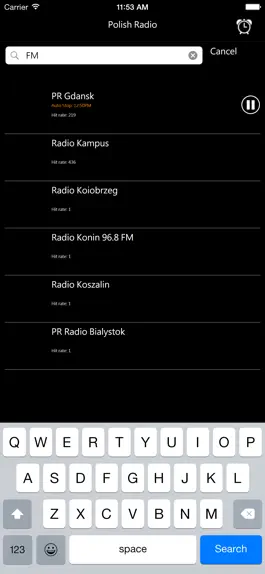 Game screenshot Polish Radio hack