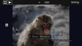 Game screenshot Snow Monkeys mod apk