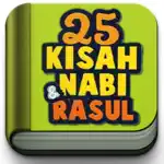Kisah 25 Nabi Offline App Problems