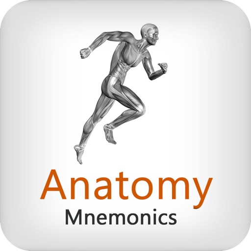 Anatomy Mnemonics iOS App