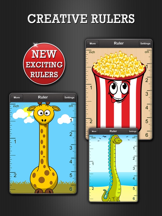 Ruler Pro HD