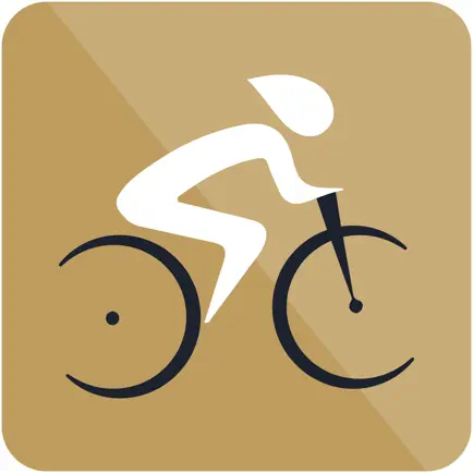 Dubai Cycling Cheats