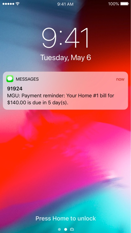 Michigan Gas Utilities (MGU) screenshot-5