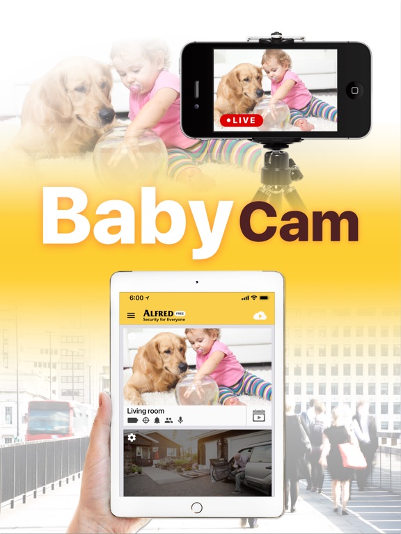 alfred home security cameras