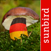 Pilzführer Deutschland, Pilze! - Mullen & Pohland GbR