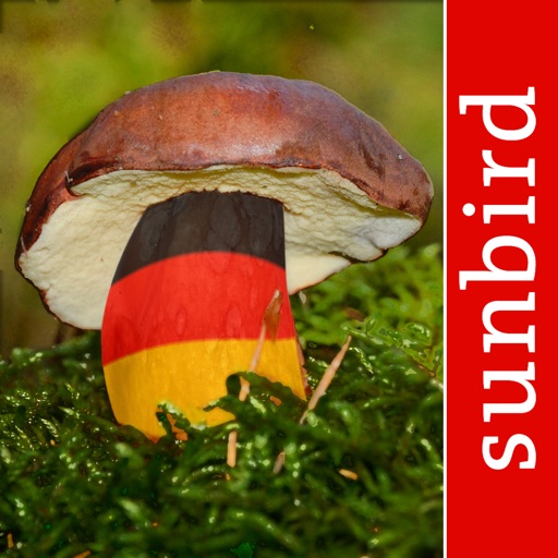 Pilzführer Deutschland, Pilze! icon