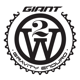 Giant 2W Gravity Enduro