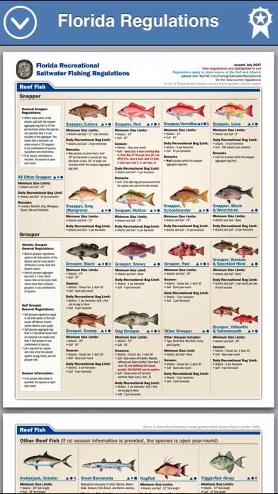Fish the Gulf Screenshot