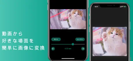 中拓云仓