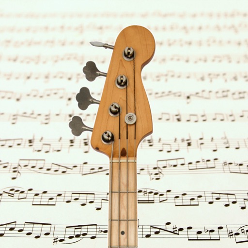 Bass guitar notes reading PRO