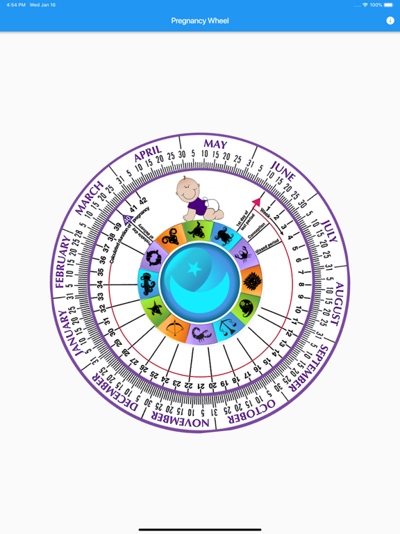 Screenshot #5 pour Pregnancy Wheel HD