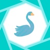 Birdify - Bird Identifier