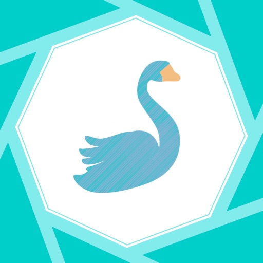 Birdify - Bird Identifier icon