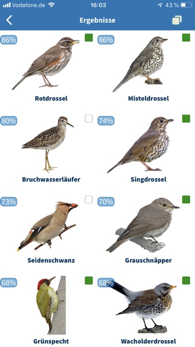 Vogelarten kennenlernen und bestimmen