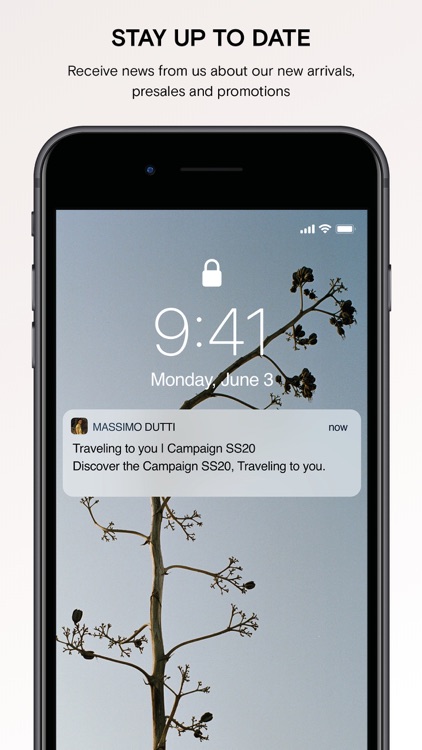 Massimo Dutti screenshot-3