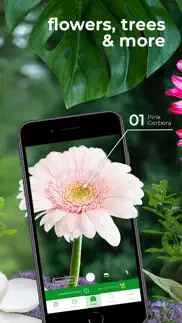 plantsnap pro: identify plants iphone screenshot 3