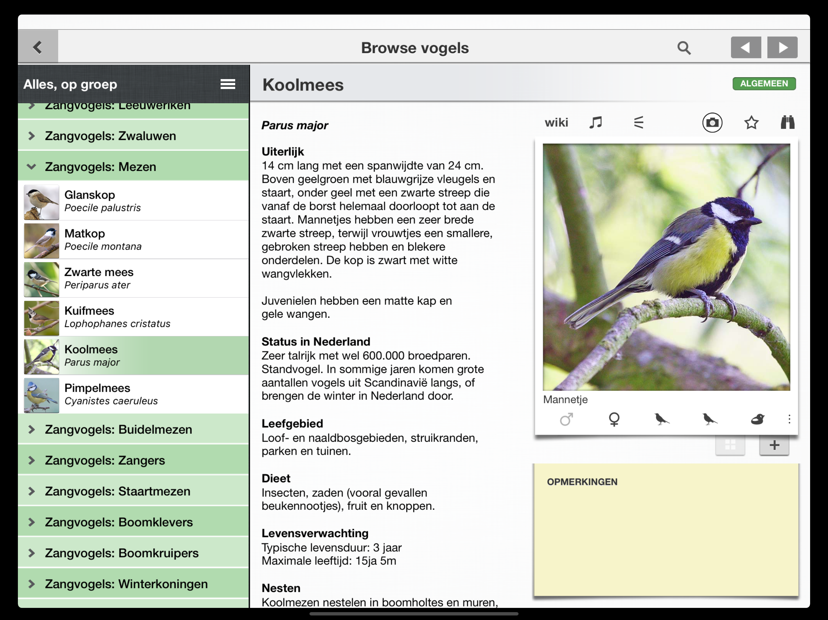 Birds of the Netherlands