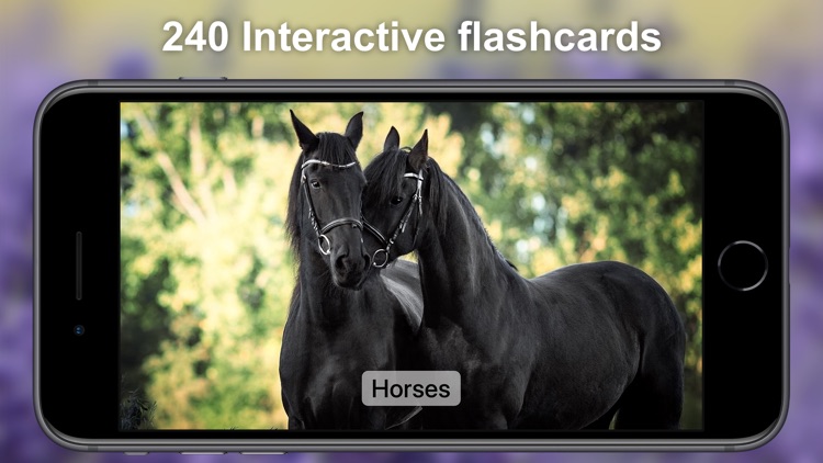 Sound Touch for Toddlers