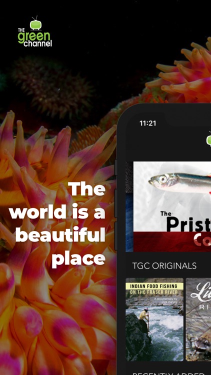 The Green Channel TV