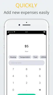 simple budget- track spendings iphone screenshot 3