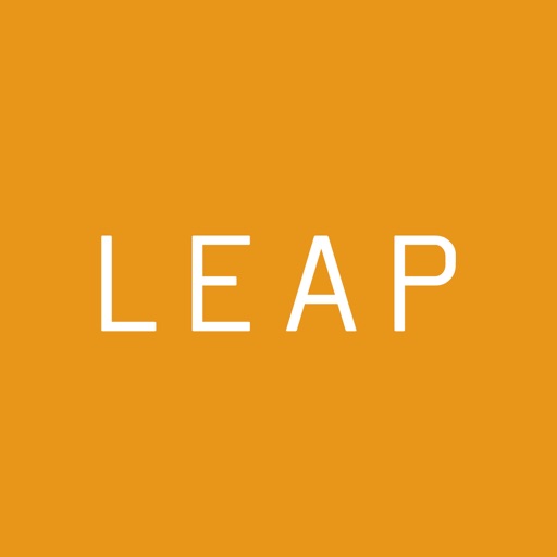 LEAP 4 - LocalGravity