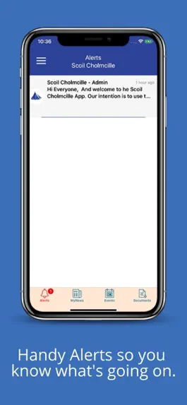 Game screenshot Scoil Cholmcille apk