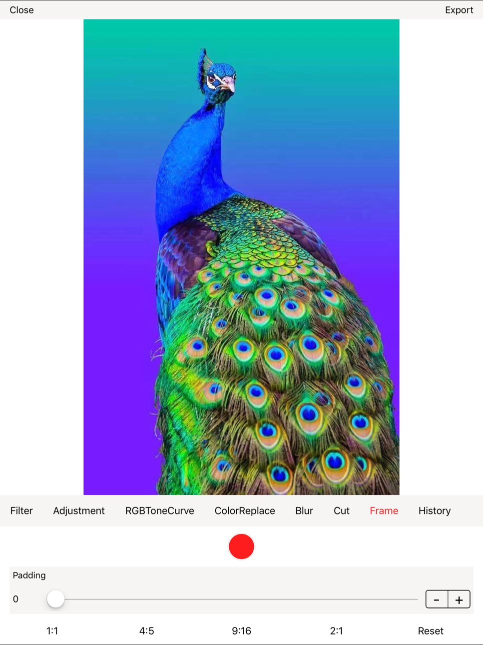 iPad screenshot