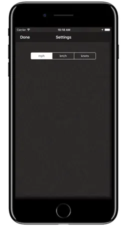 Speedometer‰ screenshot 2