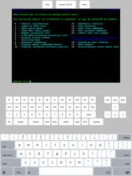 TN3270 ipad bilder 2