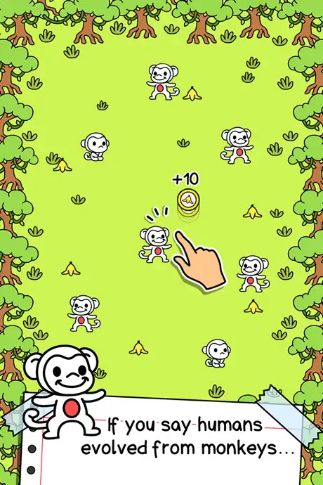 Monkey Evolution