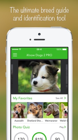 iKnow Dogs 2 LITEのおすすめ画像1