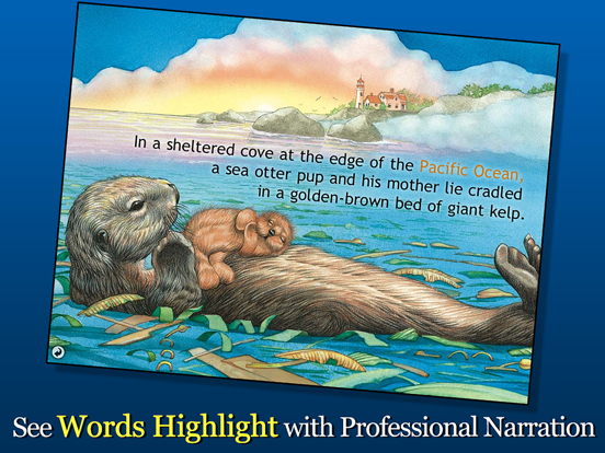 Screenshot #5 pour Otter on His Own - Smithsonian