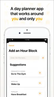 hour blocks: day planner iphone screenshot 2