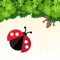 Jungle Bugs is a brand new game with gorgeous scenes, and In the jungle, among the bugs or insects, poor ladybug need to struggle to reach to Family 