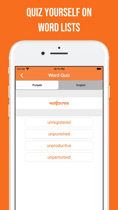 Punjabi and English Dictionary Screenshot