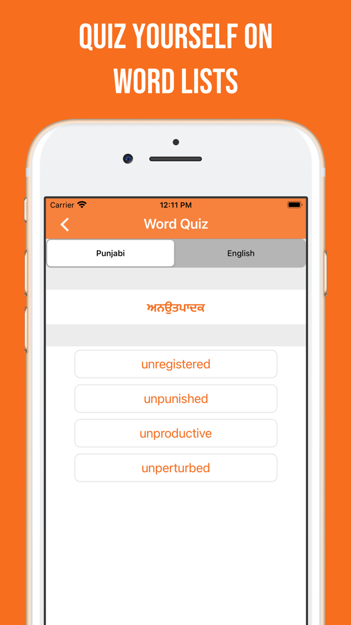 Punjabi and English Dictionary