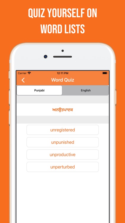 Punjabi and English Dictionary screenshot-8