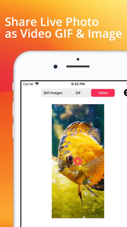 Live Photo Converter . screenshot-4