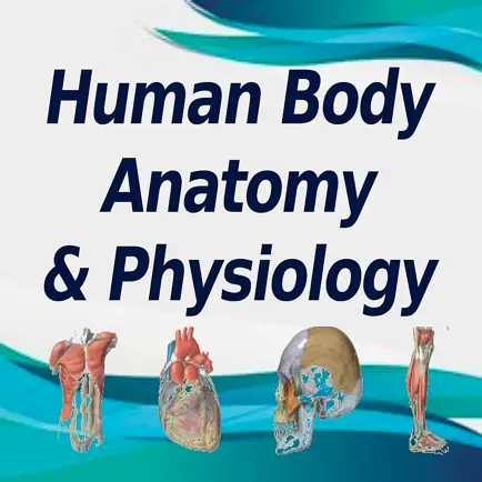 Human Body A&P Practice Test Cheats