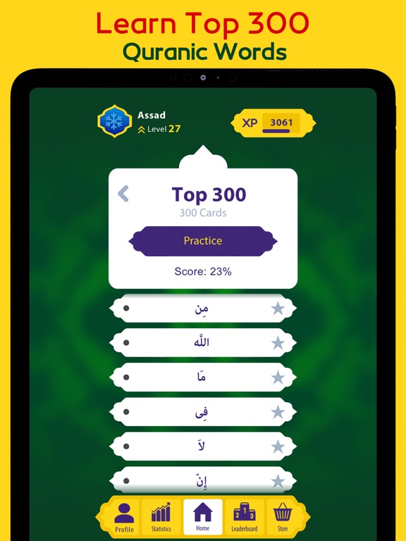 Arabic Unlocked: Learn Arabic iPad screenshot 5 - Education app