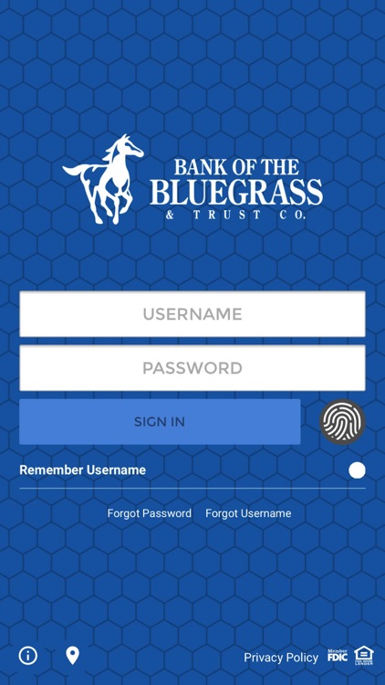 Bank of the Bluegrass