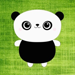 Panda’s Eyes - Fun and Relax