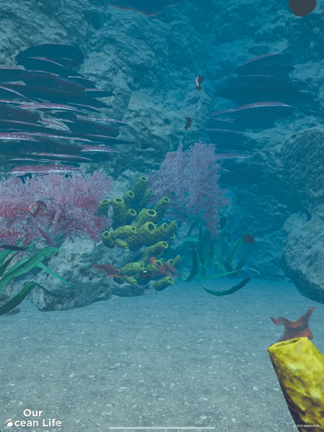 Our Ocean Life(圖2)-速報App