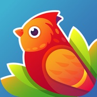 Watch The Birdie - Photo App